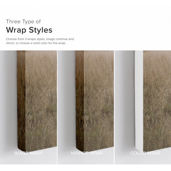 Create Your Own Canvas Print Create Your Own Canvas Print